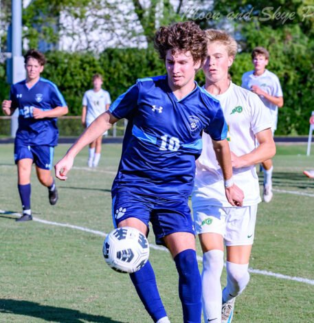 Highlights: Wildcats vs Willow Spring